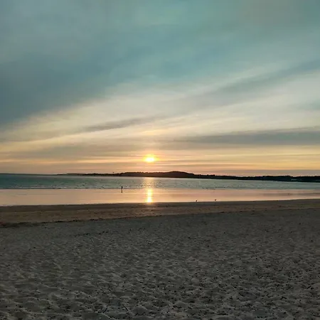 Cormoran * Playa de la Lanzada