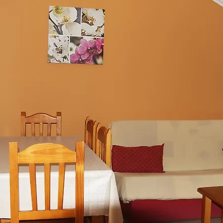 Cormoran Playa de la Lanzada