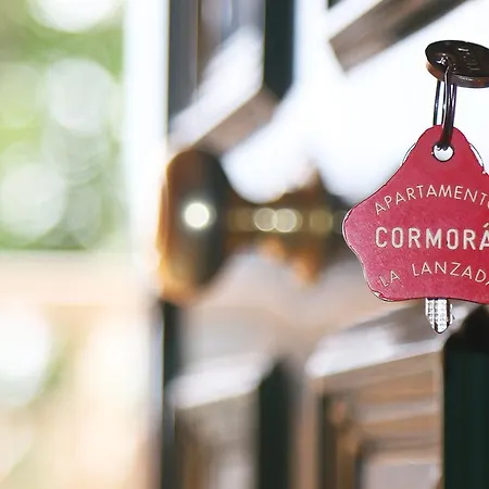 Apartmán Cormoran *