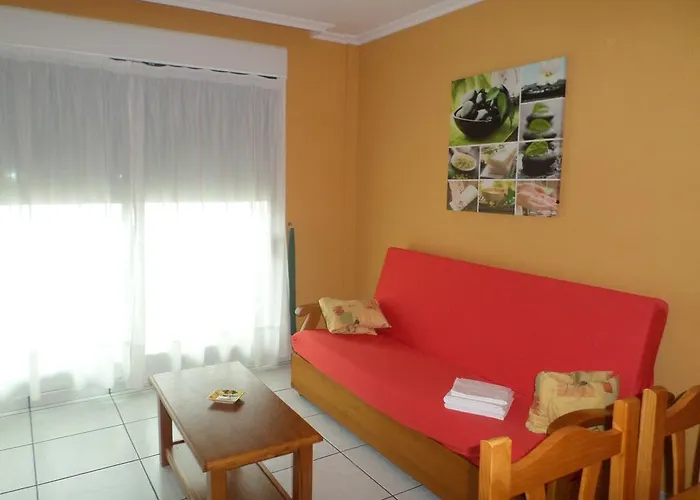 Cormoran Playa de la Lanzada