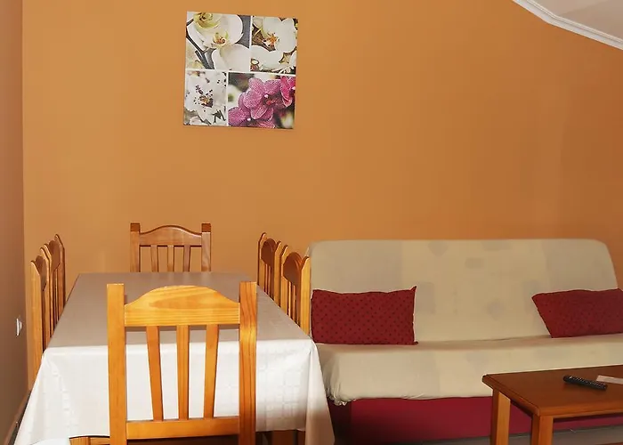 Cormoran Playa de la Lanzada